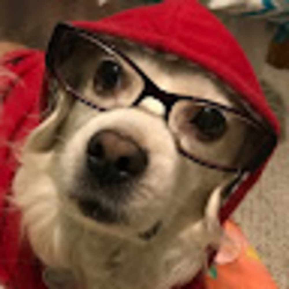 Meet your Posher, Rosie